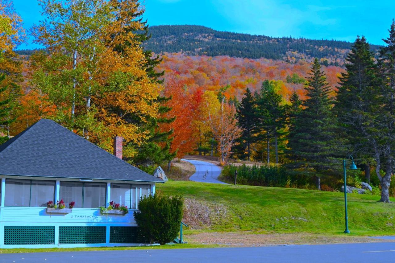 The Lodge At Jackson Village Kültér fotó